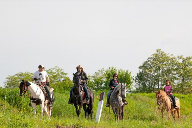  Enotourism on horseback 